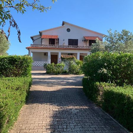 Villa Conti Residence Lacona Eksteriør billede